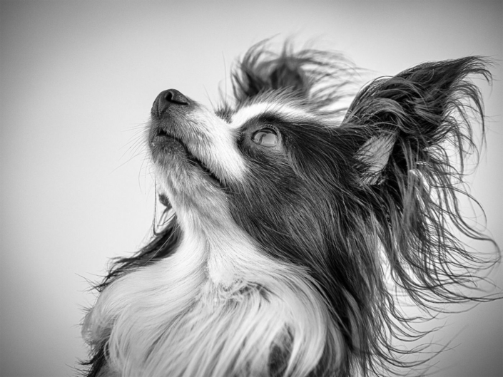 1241201_Aufmerksam